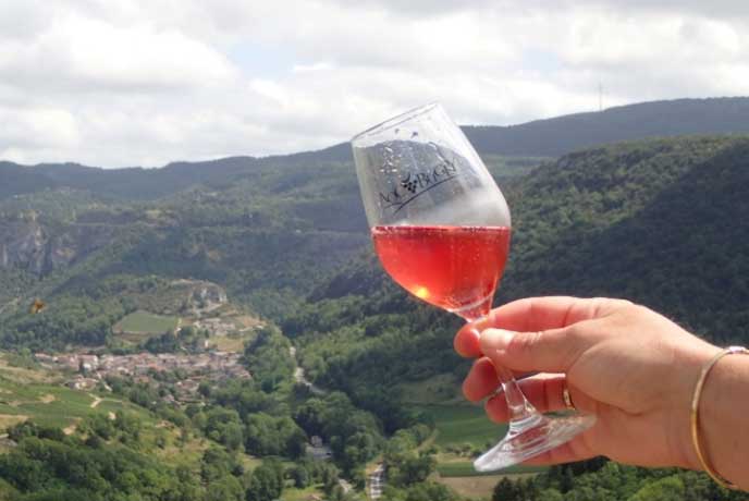 Dégustation du vin de Cerdon